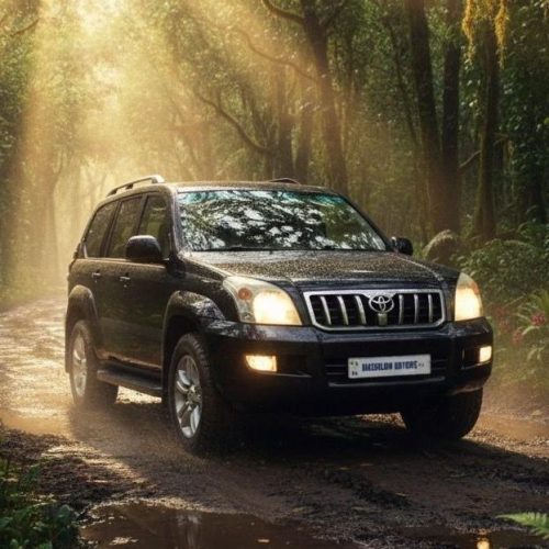 PRADO 100 NOIR a