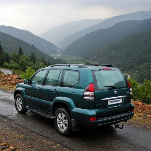 PRADO 100 VERT 3