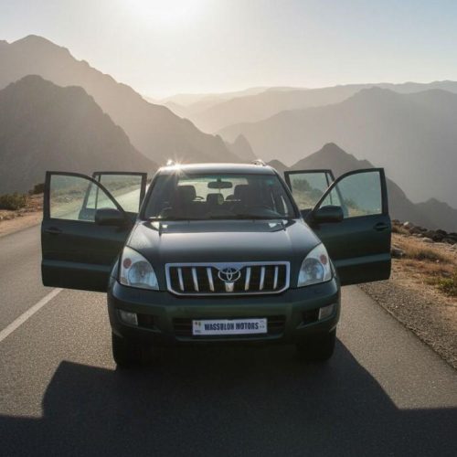 PRADO VERT 100
